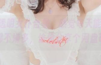 桜桃喵透明女仆合集，感觉每天能多看一点都不嫌多，偷偷分享个网盘吧！