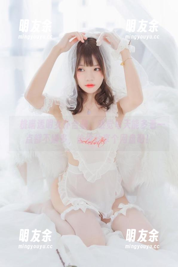 桜桃喵透明女仆合集，感觉每天能多看一点都不嫌多，偷偷分享个网盘吧！